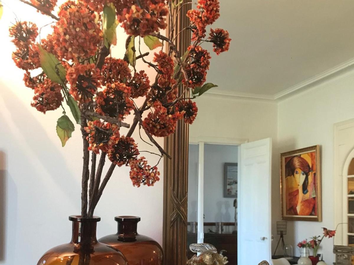 Le 14 St Michel Bed and Breakfast Josselin Εξωτερικό φωτογραφία
