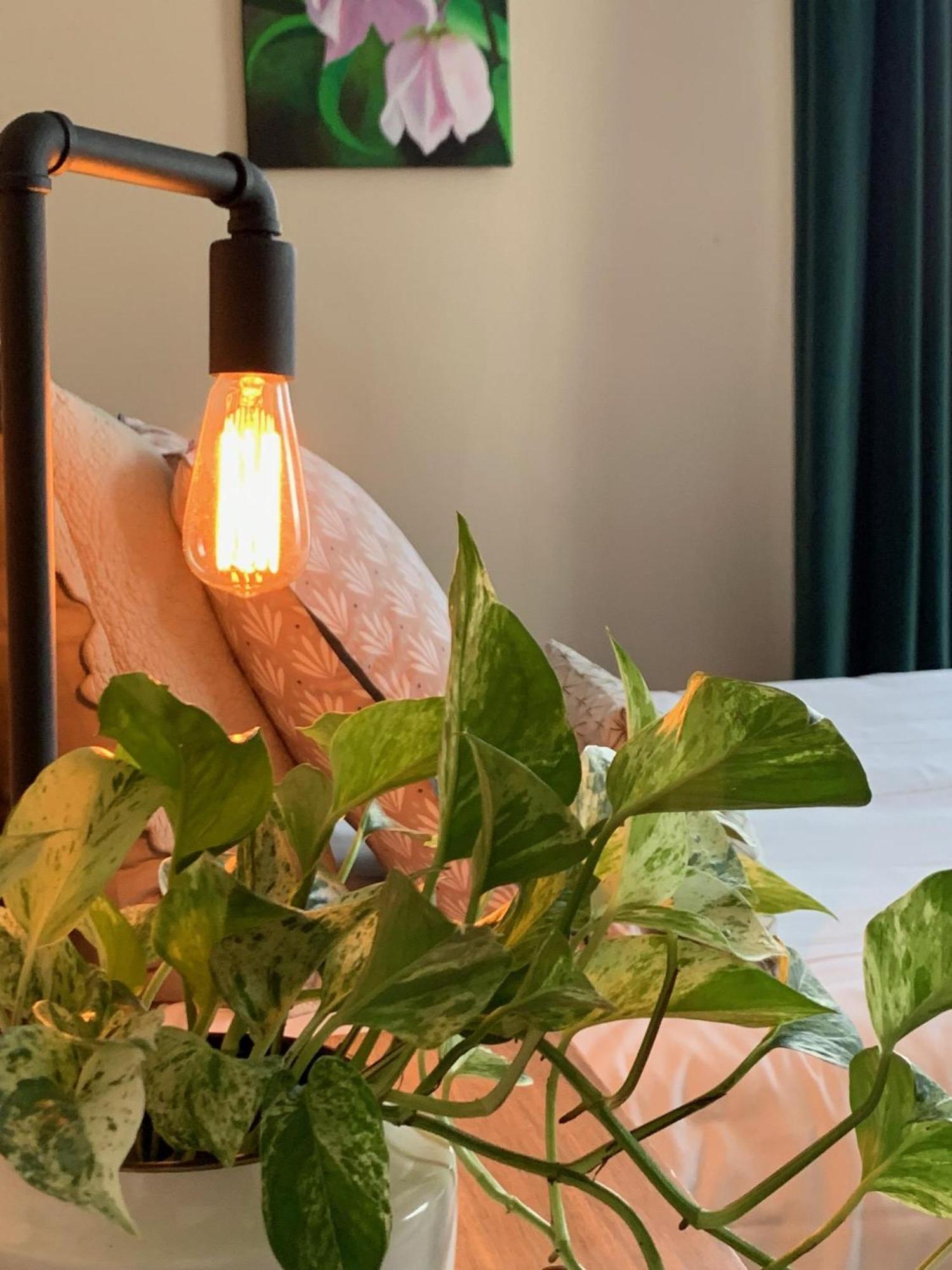 Le 14 St Michel Bed and Breakfast Josselin Δωμάτιο φωτογραφία